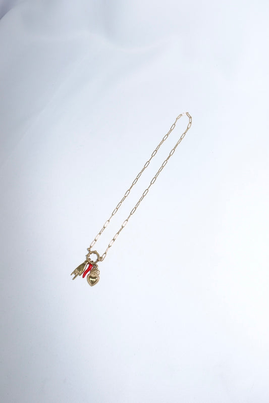 Charm Necklace in Stainless Steel