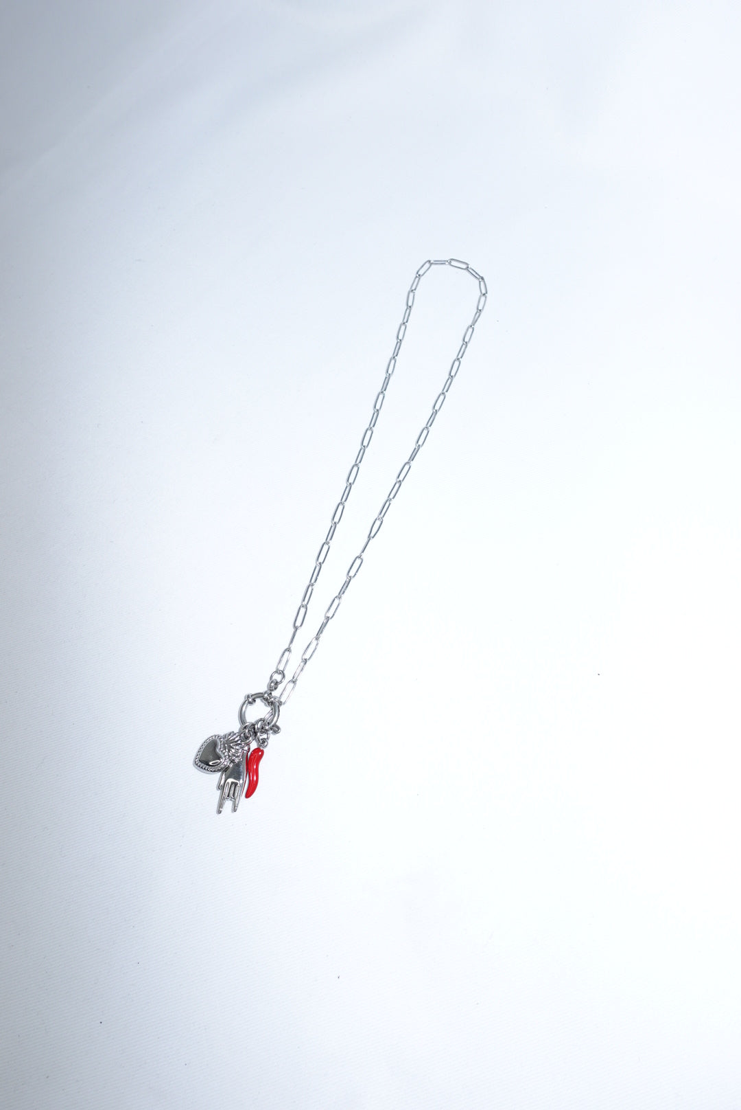 Charm Necklace in Stainless Steel