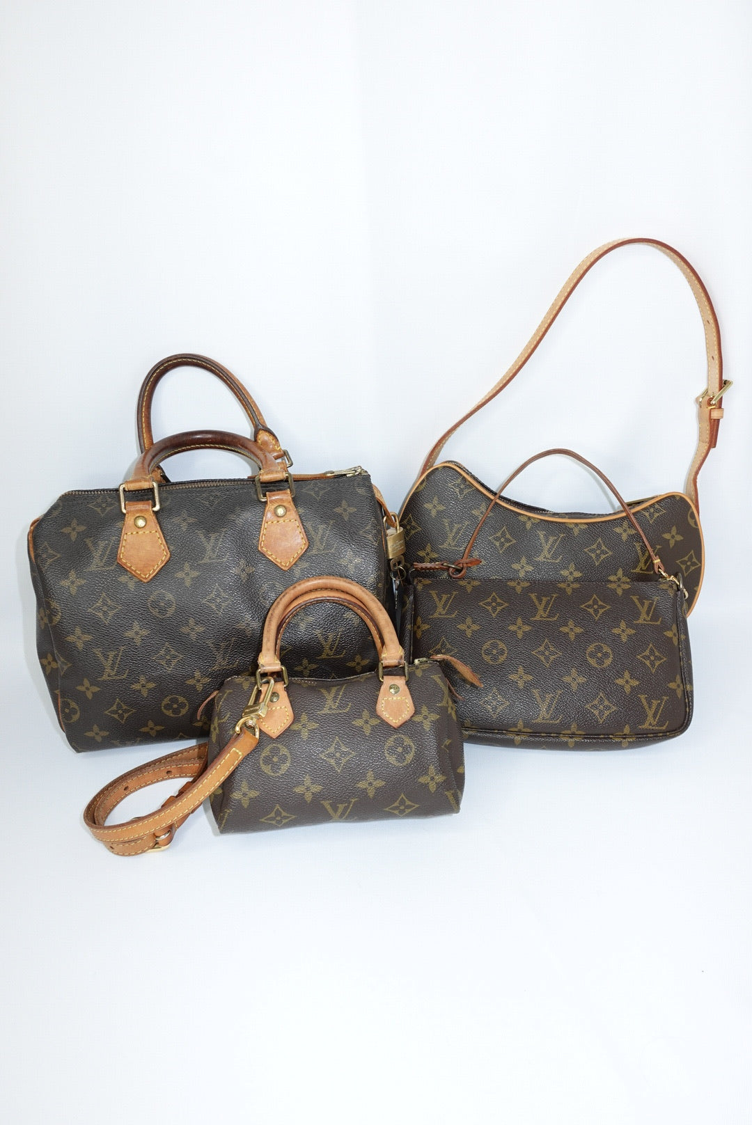 Louis Vuitton Bags