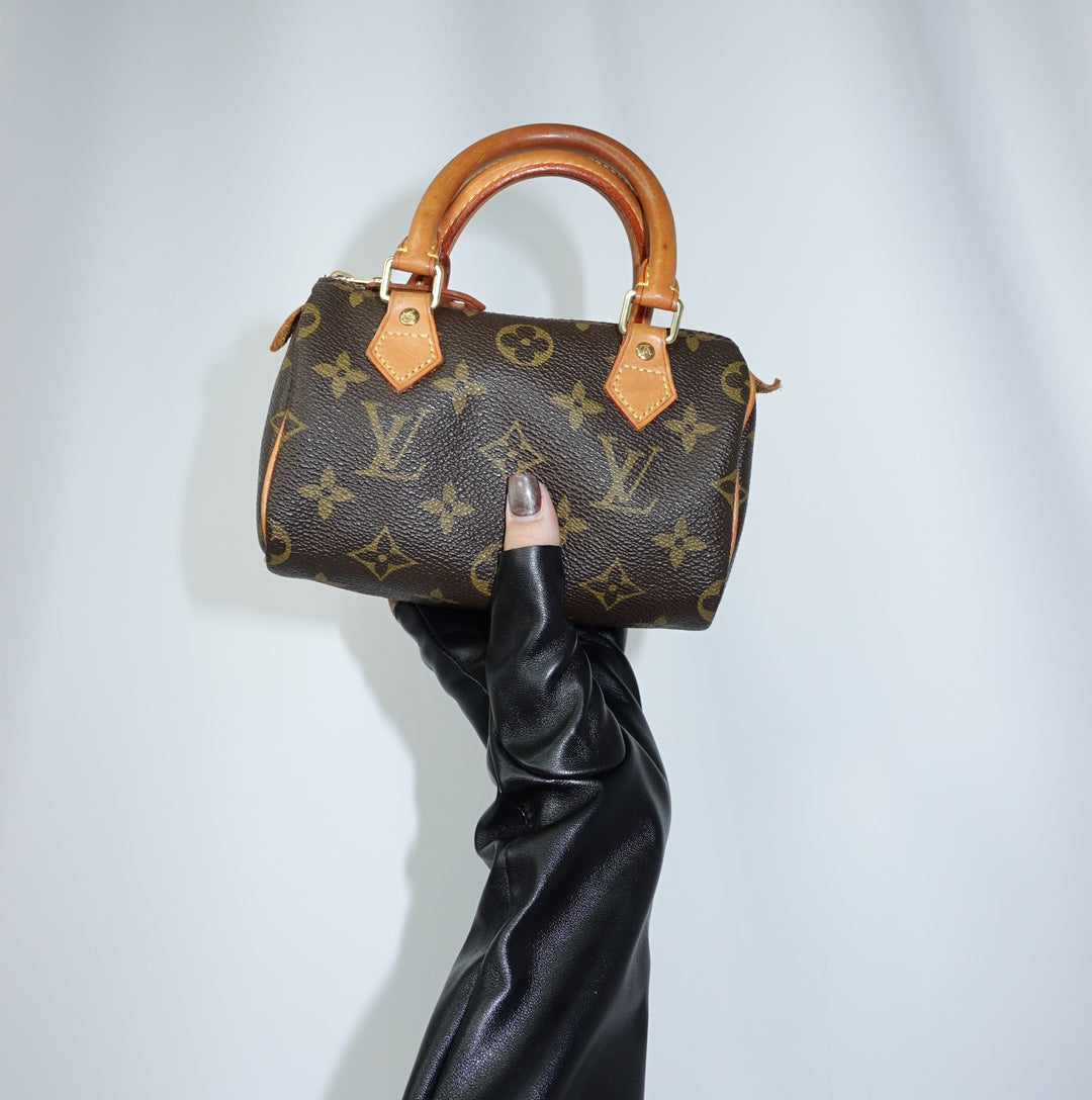 Louis Vuitton Nano Speedy Monogram Canvas