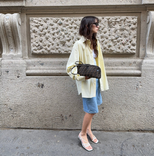 Fendi Bassotto Zucca Canvas FF Brown