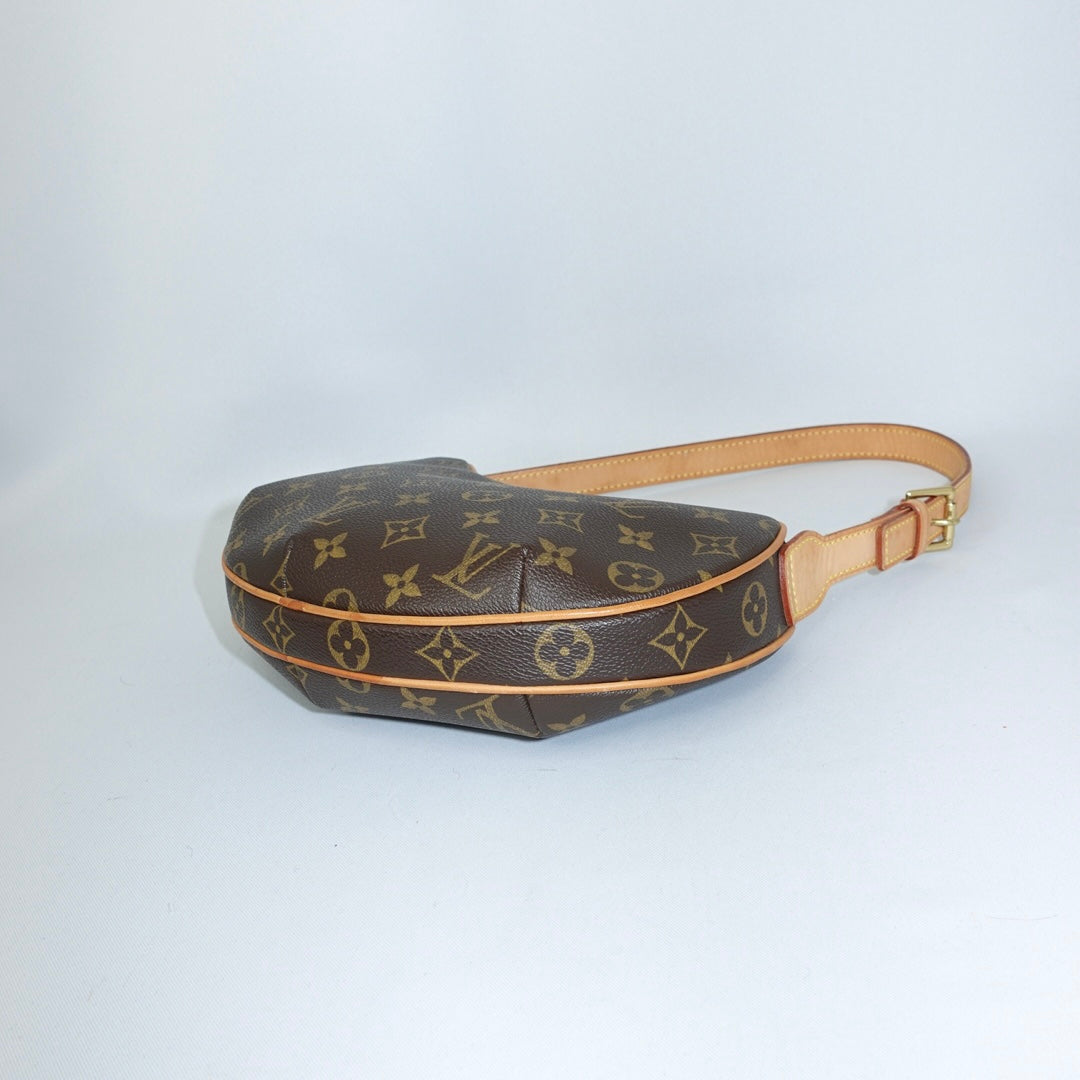 Louis Vuitton Croissant Monogram Bag