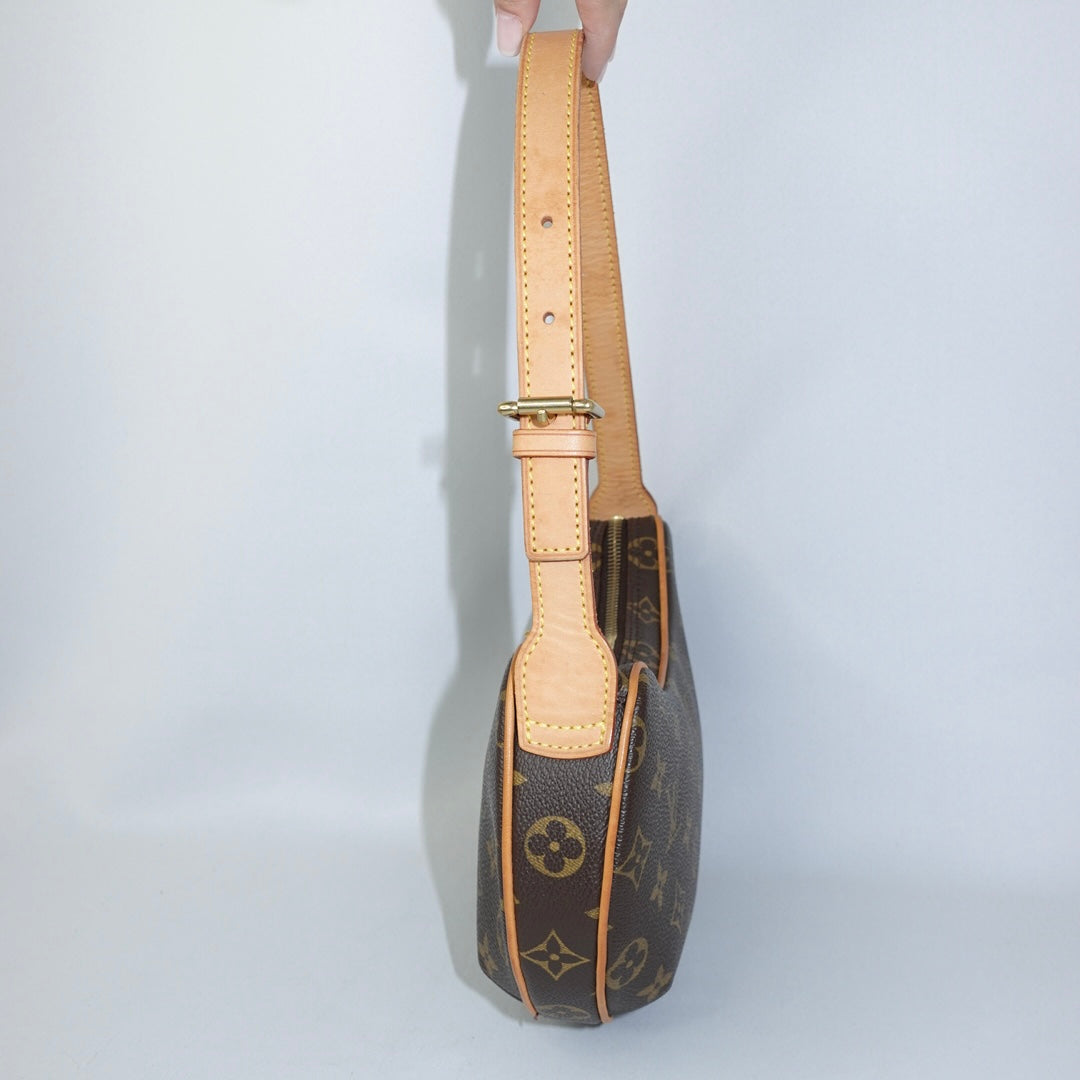 Louis Vuitton Croissant Monogram Bag