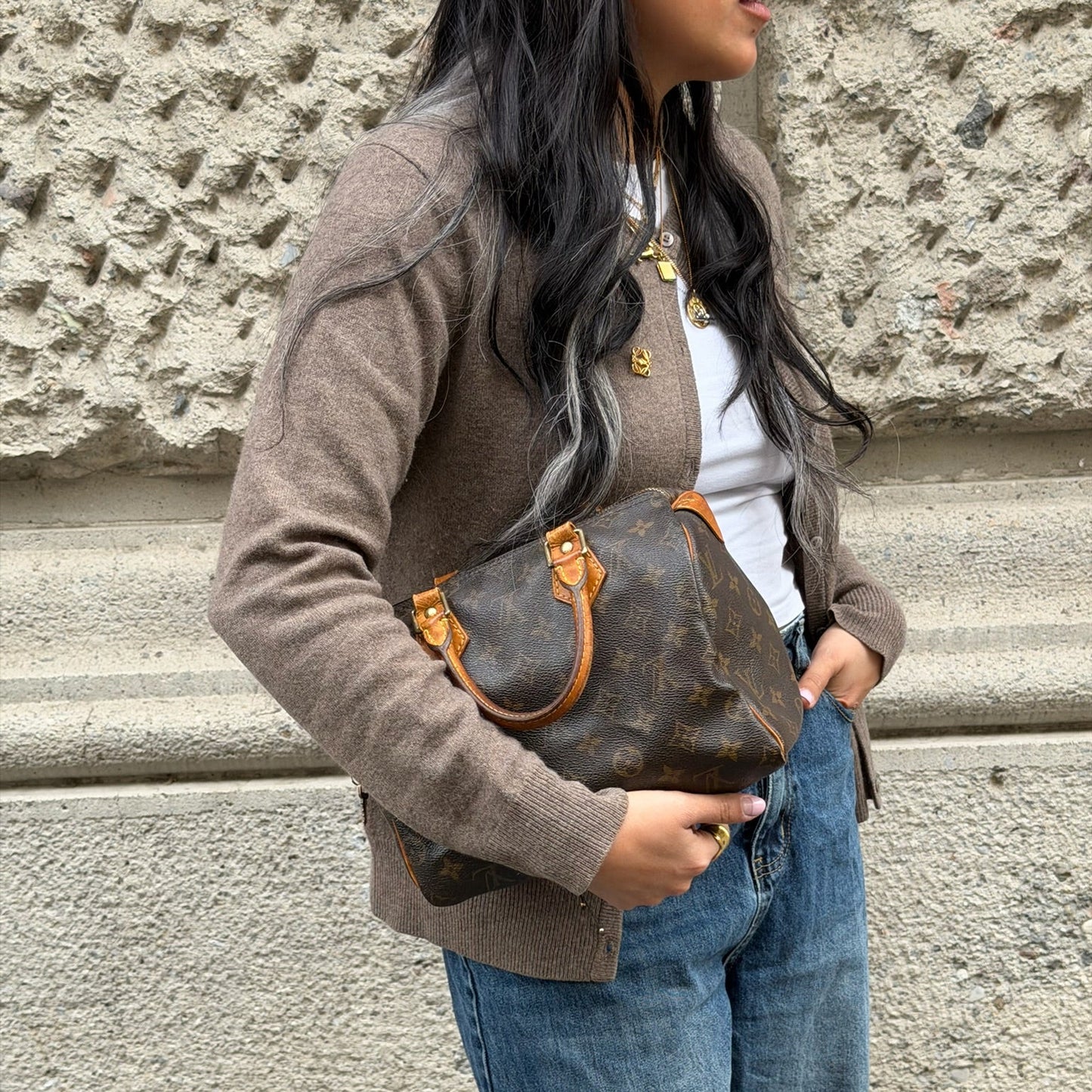 Louis Vuitton Speedy 25 Monogram Bag