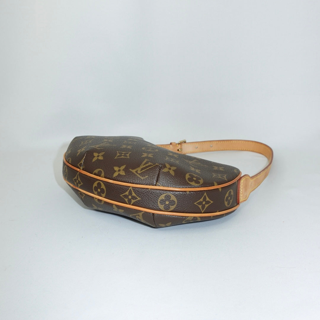 Louis Vuitton Croissant Monogram Bag