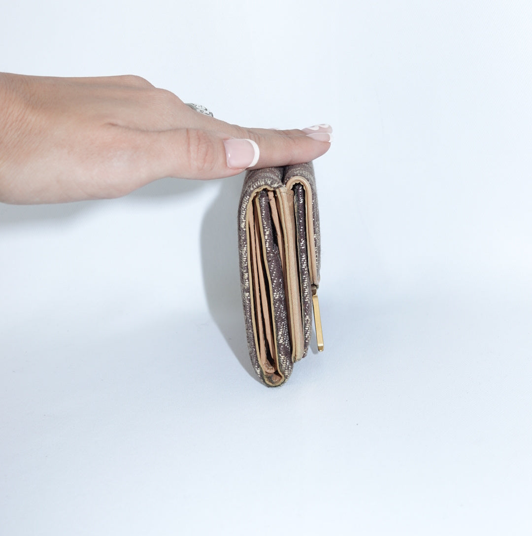 Dior Brown Monogram Wallet
