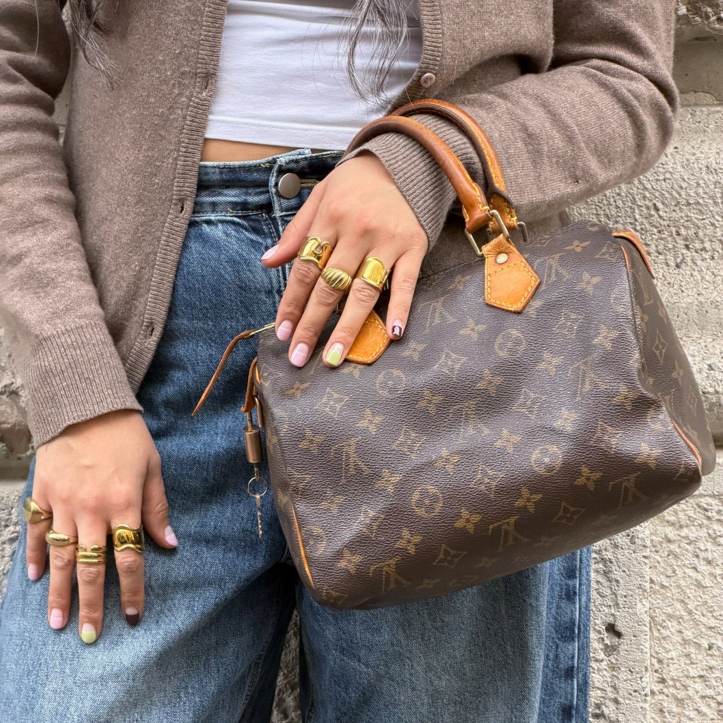 Louis Vuitton Speedy 25 Monogram Bag