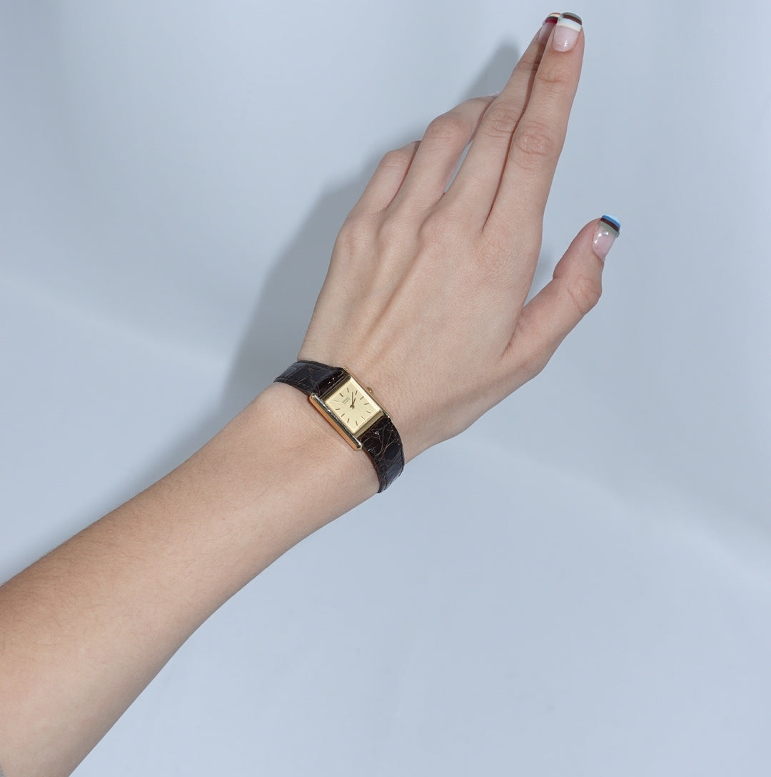 Seiko Quartz Brown with Gold Watch